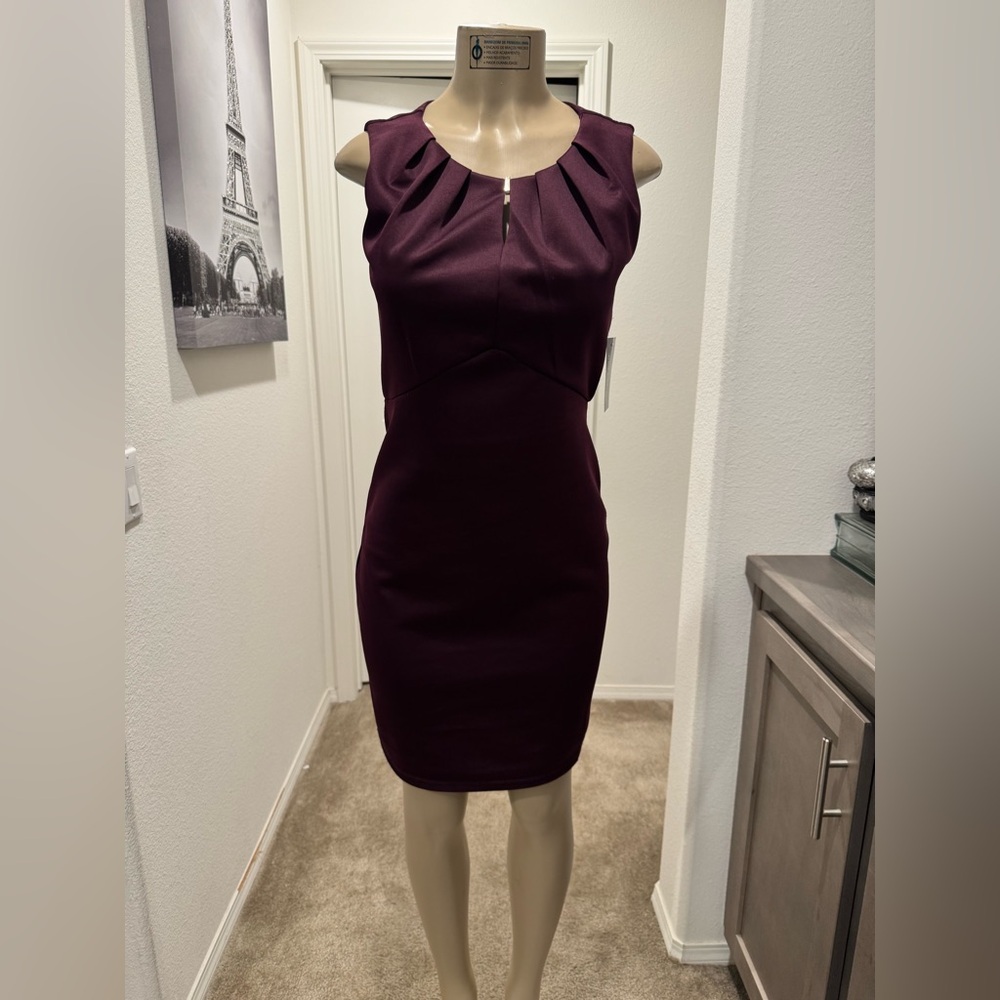 Chic Sleeveless Plum Dress